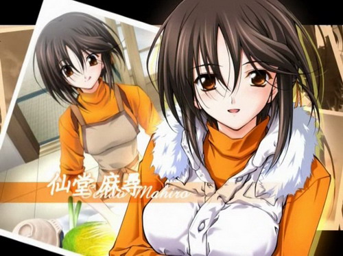 秋之回忆5 安可