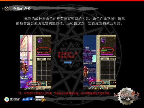 [前瞻]国服前瞻：解析DNF韩服宠物系统