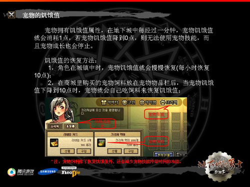 [前瞻]国服前瞻：解析DNF韩服宠物系统