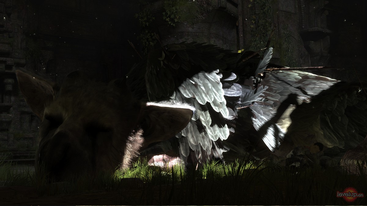 点击图片预览原图