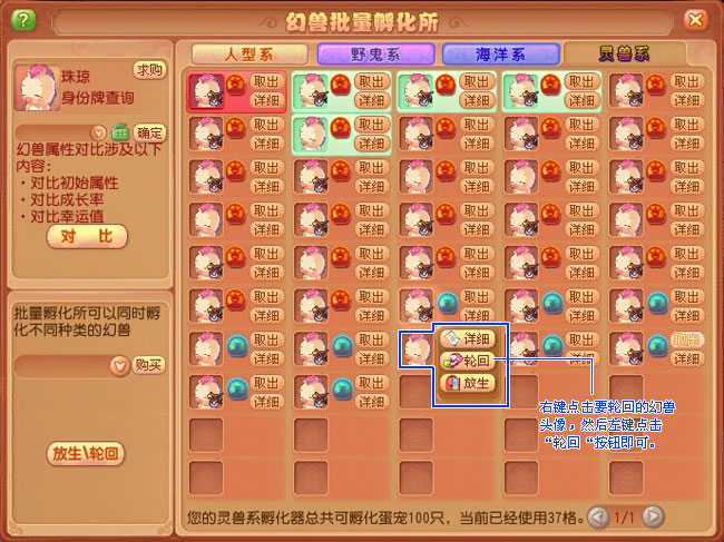 蛋宠争霸赛全攻略