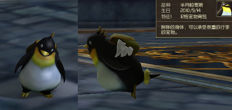 Aion2.0宠物外型预览 可爱造型萌到爆