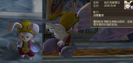 Aion2.0宠物外型预览 可爱造型萌到爆