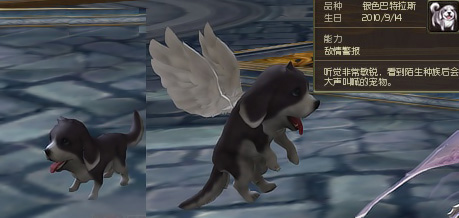 Aion2.0宠物外型预览 可爱造型萌到爆