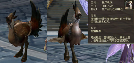 Aion2.0宠物外型预览 可爱造型萌到爆