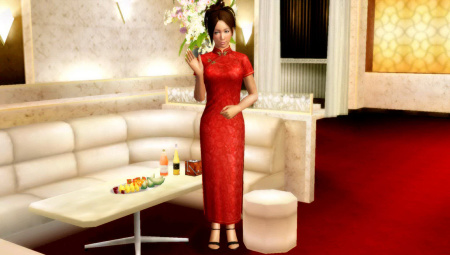 酒店小姐服务（旗袍）