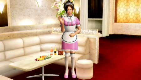 酒店小姐服务（女仆装）