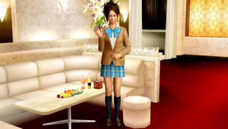 酒店小姐服务（制服装）