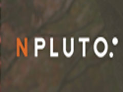 ����Npluto��˾