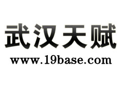 �人�츳���缼�����޹�˾ �人�츳���缼�����޹�˾