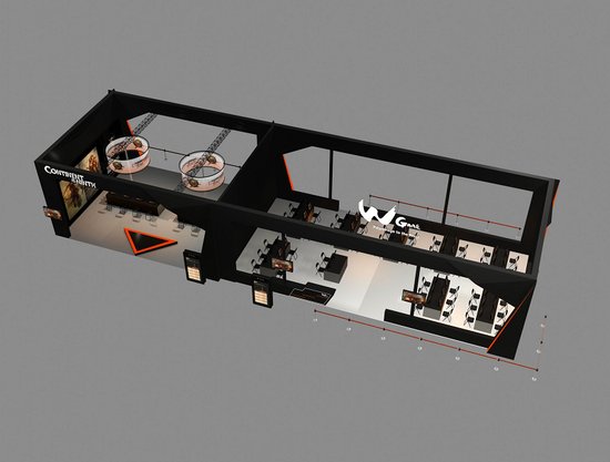 TGC2010现场设计公布 神秘Wgame曝光