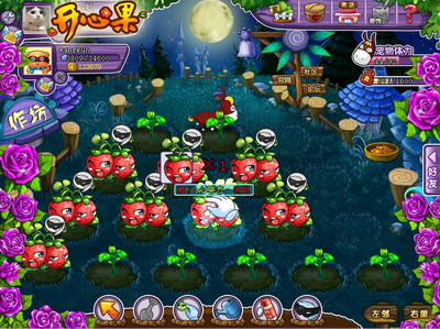 开心果最新图片