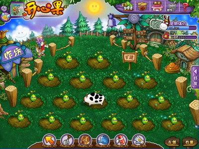 开心果最新图片