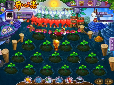 开心果最新图片