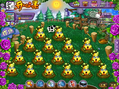 开心果最新图片