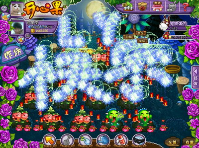 开心果最新图片