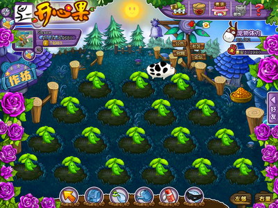 开心果最新图片