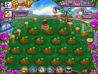 开心果最新图片