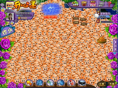 开心果最新图片