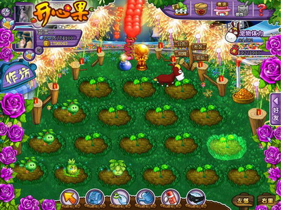 开心果最新图片