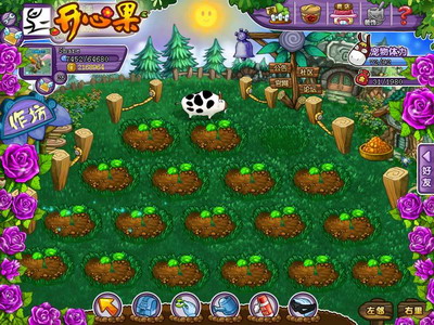 开心果最新图片