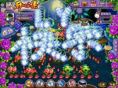 开心果最新图片