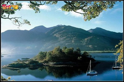 食神小当家最新图片