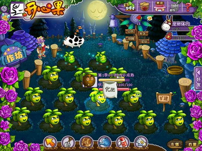 开心果最新图片