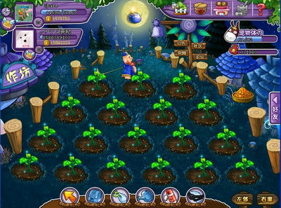 开心果最新图片