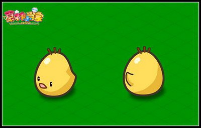 食神小当家最新图片