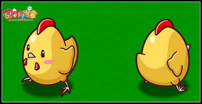 食神小当家最新图片