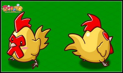 食神小当家最新图片