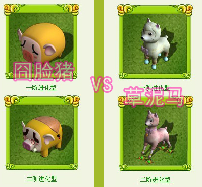 萌宠乐园最新图片