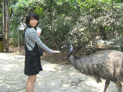 南帝北丐最新图片