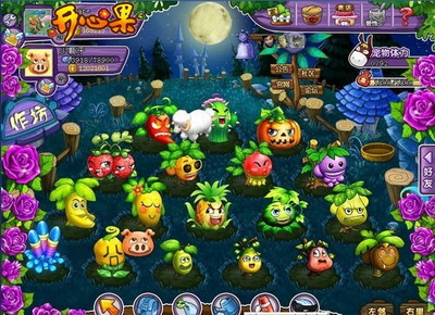 开心果最新图片