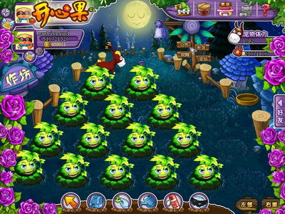 开心果最新图片