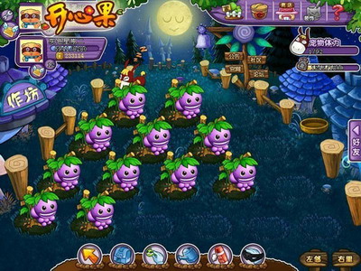 开心果最新图片