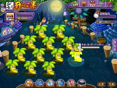 开心果最新图片