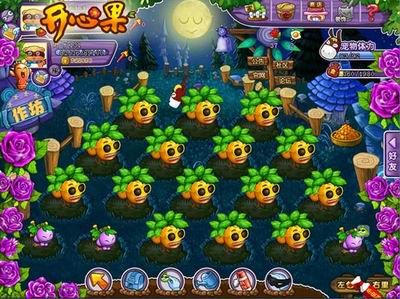 开心果最新图片