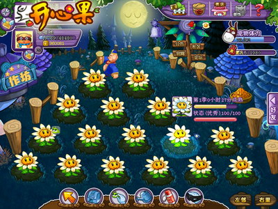 开心果最新图片