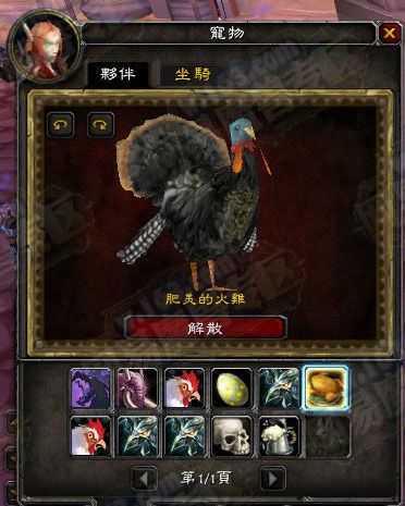 别看这只火鸡宝宝样子普通，它可是“身怀绝技”的!——当你在它身边点起一堆火来，你就会看到一行字：