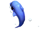 海豚-站立3.gif