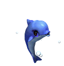 海豚-死亡1.gif