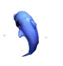 海豚-死亡3.gif