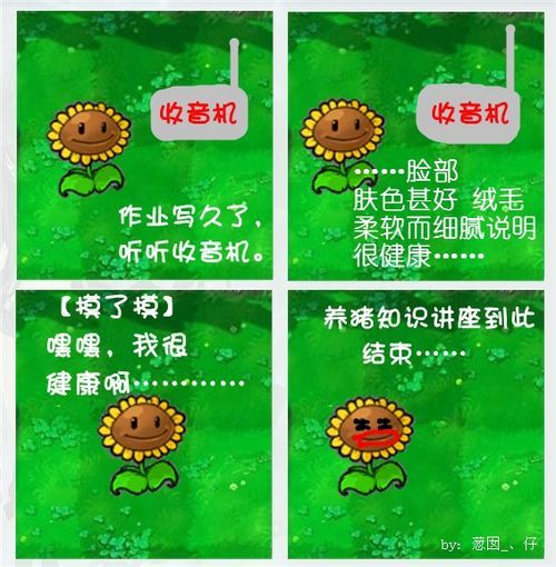 植物大战僵尸 植物大战僵尸