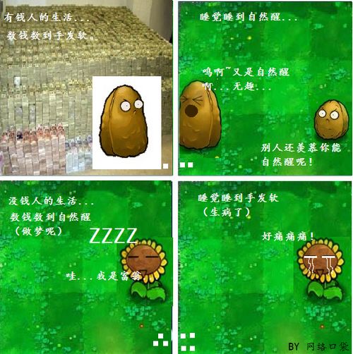 植物大战僵尸 植物大战僵尸