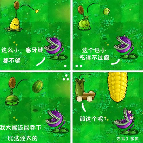 植物大战僵尸 植物大战僵尸