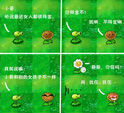 植物大战僵尸 植物大战僵尸