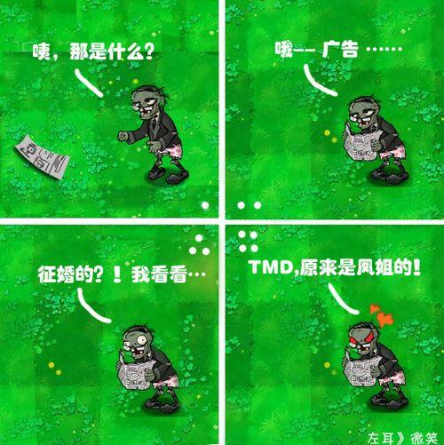 植物大战僵尸 植物大战僵尸