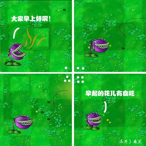 植物大战僵尸 植物大战僵尸